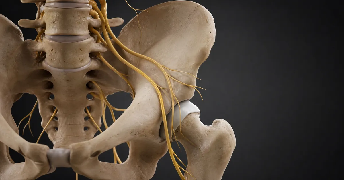 bone-.hip